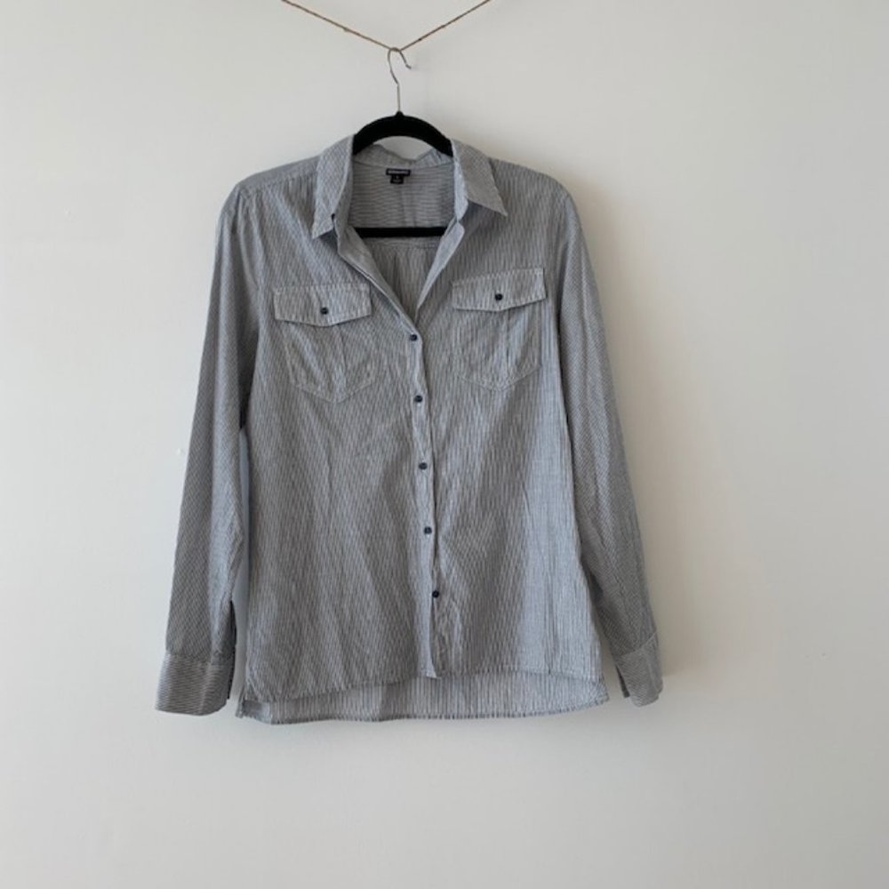 Patagonia blue white stripe shirt